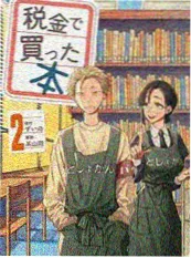镜中无字书小说封面